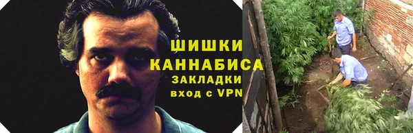 ГАЛЛЮЦИНОГЕННЫЕ ГРИБЫ Балахна