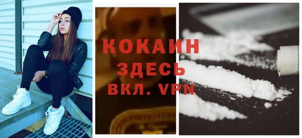 сатива Баксан