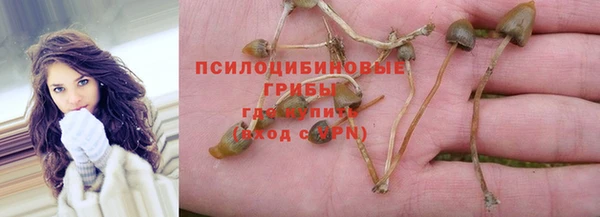 сатива Баксан