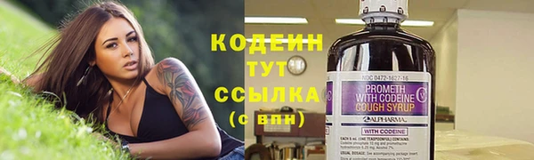 сатива Баксан