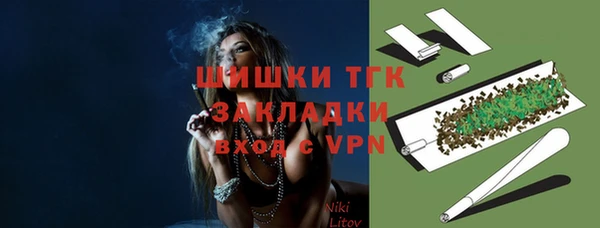 ГАЛЛЮЦИНОГЕННЫЕ ГРИБЫ Балахна