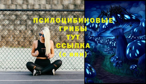 ГАЛЛЮЦИНОГЕННЫЕ ГРИБЫ Балахна