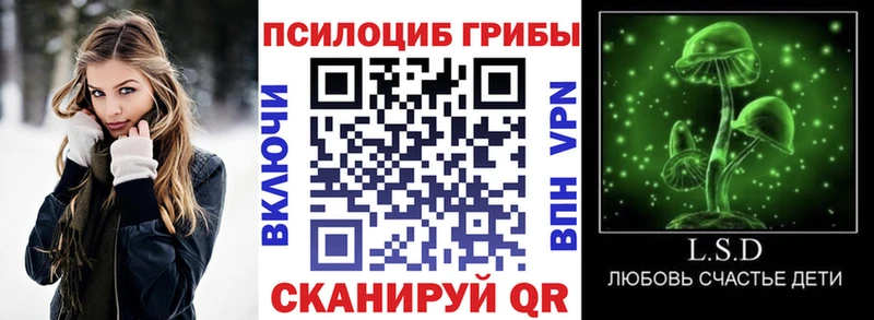 omg ссылка Сковородино Галлюциногенные грибы Psilocybine cubensis